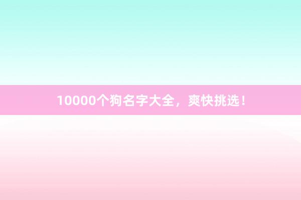 10000个狗名字大全，爽快挑选！