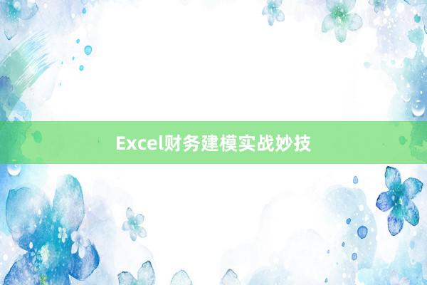 Excel财务建模实战妙技